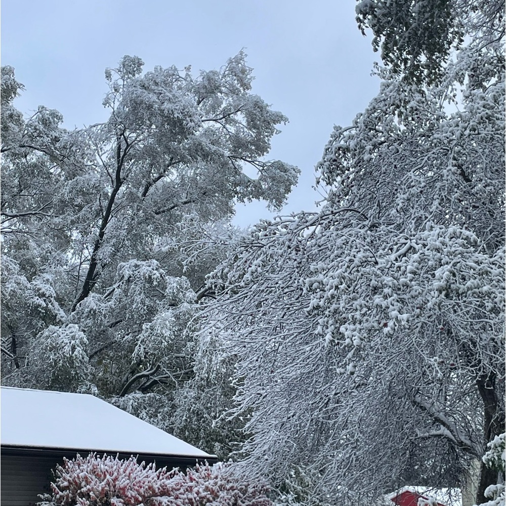 Winter is Here!